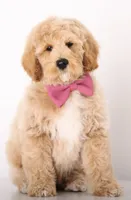 processed/cfdcece1-dffb-44d7-9010-7310a9681369/facility/b53d0928-1aec-4439-adb3-41c919a93708