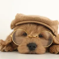 processed/cfdcece1-dffb-44d7-9010-7310a9681369/facility/c5584af3-4856-4d6c-838b-8ace53b65380