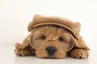 processed/cfdcece1-dffb-44d7-9010-7310a9681369/facility/c5584af3-4856-4d6c-838b-8ace53b65380