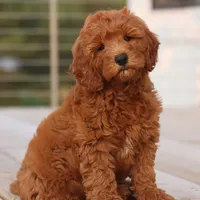 processed/cfdcece1-dffb-44d7-9010-7310a9681369/facility/c7b1cdf2-9277-4180-a400-7f3b17494af6