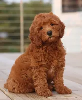 processed/cfdcece1-dffb-44d7-9010-7310a9681369/facility/c7b1cdf2-9277-4180-a400-7f3b17494af6