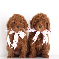 processed/cfdcece1-dffb-44d7-9010-7310a9681369/facility/fa59842a-0005-4856-b089-b2fd16e8af10