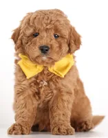 processed/cfdcece1-dffb-44d7-9010-7310a9681369/listing/3d528a25-5eb1-41a1-80c4-6c3c15fd9dc8/1d42bcfc-f591-46fd-92e9-c3ff98dfc7c7