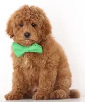 processed/cfdcece1-dffb-44d7-9010-7310a9681369/listing/3d528a25-5eb1-41a1-80c4-6c3c15fd9dc8/59629d32-2cb2-4ad7-9270-ebfd872ca746