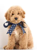 processed/cfdcece1-dffb-44d7-9010-7310a9681369/listing/3d528a25-5eb1-41a1-80c4-6c3c15fd9dc8/5cbe671c-9cba-4011-afe3-3240c2345623