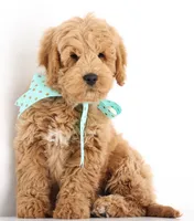 processed/cfdcece1-dffb-44d7-9010-7310a9681369/listing/58ea070c-d315-4df3-90d5-cf7f7f9c9e80/1d863ff0-9a9f-41f9-a99f-e38036d1e6d6