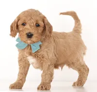 processed/cfdcece1-dffb-44d7-9010-7310a9681369/listing/58ea070c-d315-4df3-90d5-cf7f7f9c9e80/ef208ac8-fcc6-4d8a-9a6c-9d51eae4f33f