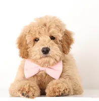 processed/cfdcece1-dffb-44d7-9010-7310a9681369/listing/5b7ca312-6364-41e9-9faf-31e9cc3f4b2d/c89281b2-ef91-43e9-be2d-e28b4d84802d