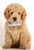 processed/cfdcece1-dffb-44d7-9010-7310a9681369/listing/892d5b0b-b2f5-409e-bf25-e5ae60e68255/5764adb5-23eb-4044-a31f-3d033f6fe501