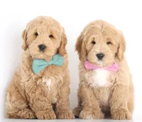 processed/cfdcece1-dffb-44d7-9010-7310a9681369/listing/892d5b0b-b2f5-409e-bf25-e5ae60e68255/a23aeaec-8116-497e-8889-382d192cdb9b