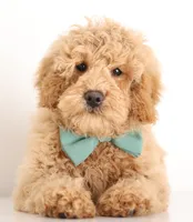 processed/cfdcece1-dffb-44d7-9010-7310a9681369/listing/a0360650-85cb-4ae9-a94c-8221fee85540/6a82e41a-de55-43b0-9b08-e05b0424d4ab