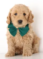 processed/cfdcece1-dffb-44d7-9010-7310a9681369/listing/a0fd3802-7155-4118-ad4b-88bab815d7c4/4b9015fd-f185-4803-aa9d-a4327999a283