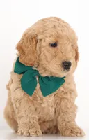 processed/cfdcece1-dffb-44d7-9010-7310a9681369/listing/a0fd3802-7155-4118-ad4b-88bab815d7c4/a118fcdb-1eaa-410b-9b84-d4d626387cbc