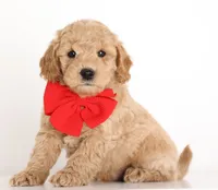 processed/cfdcece1-dffb-44d7-9010-7310a9681369/listing/a2a57ee5-578f-4e5e-b74c-0614fbf6d6d2/22cb6809-800f-4c84-8849-2ce4431e244d