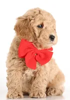 processed/cfdcece1-dffb-44d7-9010-7310a9681369/listing/a2a57ee5-578f-4e5e-b74c-0614fbf6d6d2/4da40be5-d860-43d7-9248-fbf63960b448