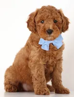 processed/cfdcece1-dffb-44d7-9010-7310a9681369/listing/a3646396-2672-4c4e-b9db-49e3ea649f93/2a9cf301-7ecb-432e-99c8-2f896e738936