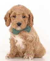 processed/cfdcece1-dffb-44d7-9010-7310a9681369/listing/a3646396-2672-4c4e-b9db-49e3ea649f93/a5ed4eb4-feda-44fa-b390-f9d9afb37bc1