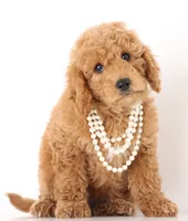 processed/cfdcece1-dffb-44d7-9010-7310a9681369/listing/a3646396-2672-4c4e-b9db-49e3ea649f93/eaf8e6ef-6f51-4c9f-9d82-c34e014736d0