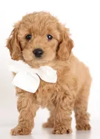 processed/cfdcece1-dffb-44d7-9010-7310a9681369/listing/c3ad846d-6120-4f0e-a527-1aed965970a3/0655b920-fe97-470f-b630-1205e37d4622