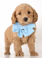 processed/cfdcece1-dffb-44d7-9010-7310a9681369/listing/c3ad846d-6120-4f0e-a527-1aed965970a3/e0391242-0ebf-479e-83ef-79a6f2311d15