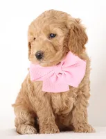 processed/cfdcece1-dffb-44d7-9010-7310a9681369/listing/c3ad846d-6120-4f0e-a527-1aed965970a3/eda36e32-193a-4557-a077-f1e3dde3b02b