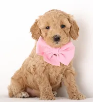 processed/cfdcece1-dffb-44d7-9010-7310a9681369/listing/c3ad846d-6120-4f0e-a527-1aed965970a3/f2f744db-2d85-4f82-83eb-3be4ece1704d