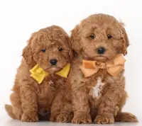 processed/cfdcece1-dffb-44d7-9010-7310a9681369/listing/cffb1a16-0dd6-4856-9271-c40a7f201ae8/4654b970-ba78-4545-bdba-78c94e69f32f