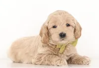 processed/cfdcece1-dffb-44d7-9010-7310a9681369/listing/f1248f8f-27c9-47cc-80d2-c28c1383df69/f5ea1d51-3e8f-420e-9be3-8cd4cb26d3be