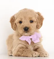 processed/cfdcece1-dffb-44d7-9010-7310a9681369/listing/f811a7a6-25aa-42c3-9a96-b0b9e7a45a0b/5632e01b-7651-4b2a-b552-2e72311bf78d