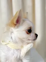 processed/cfe352ec-537f-4cba-bf78-b8d12b379684/listing/c1f738e4-617a-4a49-9b89-da18688c3c59/448ceb25-4571-4f01-bf7e-a9b8f2a797da