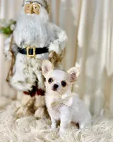 processed/cfe352ec-537f-4cba-bf78-b8d12b379684/listing/c1f738e4-617a-4a49-9b89-da18688c3c59/ab6a5992-e33c-46ff-ae24-4e6c096752cd