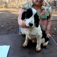 processed/cfe7232c-9dfd-40ce-a967-57354bbb7fea/listing/02968672-4201-4d03-96a0-25b05a13d1e2/265a0b49-3200-426f-b031-5215ea5c0273