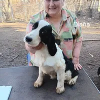 processed/cfe7232c-9dfd-40ce-a967-57354bbb7fea/listing/02968672-4201-4d03-96a0-25b05a13d1e2/32f236b0-fab5-49bc-84f9-f7d553778347