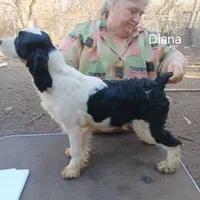 processed/cfe7232c-9dfd-40ce-a967-57354bbb7fea/listing/02968672-4201-4d03-96a0-25b05a13d1e2/36f3973a-3328-4bb1-b228-c3253d30028b