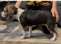 processed/cfee48e3-6c39-4e99-97a9-189d61a7ebbe/listing/d6c90b2f-bfef-4960-9fe1-7c4a828dfe8a/8f87b9df-a55a-4446-bf84-87a5394e94c7