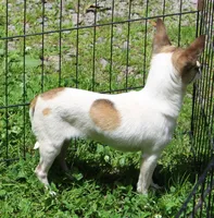 processed/cfee48e3-6c39-4e99-97a9-189d61a7ebbe/listing/fe2f36b5-96f6-493b-a976-0a0b4b401f10/63b50ecf-5751-4b73-bf7a-46dc162df2ed