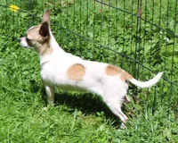 processed/cfee48e3-6c39-4e99-97a9-189d61a7ebbe/listing/fe2f36b5-96f6-493b-a976-0a0b4b401f10/73b4b3a4-d627-4521-9633-2892e734a190