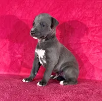 processed/cfeee22f-c44c-4d3d-aa9b-4e9048ffdb42/listing/26136e00-c94f-4652-8841-f1d628b6f21f/171e94c3-b628-4ade-895f-a9e983825c0c