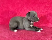 processed/cfeee22f-c44c-4d3d-aa9b-4e9048ffdb42/listing/26136e00-c94f-4652-8841-f1d628b6f21f/77f6040e-2823-475d-9fad-ca63d2900c28