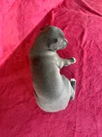 processed/cfeee22f-c44c-4d3d-aa9b-4e9048ffdb42/listing/26136e00-c94f-4652-8841-f1d628b6f21f/956e97e9-a69a-42f0-8c38-9628f63387a2