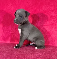 processed/cfeee22f-c44c-4d3d-aa9b-4e9048ffdb42/listing/26136e00-c94f-4652-8841-f1d628b6f21f/97bb3679-599f-4dd2-8624-d032eeb2a049