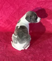 processed/cfeee22f-c44c-4d3d-aa9b-4e9048ffdb42/listing/57a3b7c4-a2e3-46f2-bc1b-155fed5dda7e/995fcd5b-7c70-46dc-9dff-a9439b0d4bb7