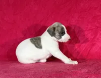 processed/cfeee22f-c44c-4d3d-aa9b-4e9048ffdb42/listing/af9e5066-d84f-4871-81ff-7fef66dac3b2/767c2b5e-54c3-4fd6-9b48-f4d8fa2c5319