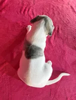 processed/cfeee22f-c44c-4d3d-aa9b-4e9048ffdb42/listing/af9e5066-d84f-4871-81ff-7fef66dac3b2/e66b454d-3bc2-4cf3-a981-eefd4569eb33