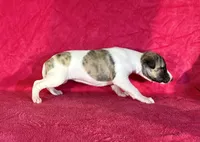 processed/cfeee22f-c44c-4d3d-aa9b-4e9048ffdb42/listing/dab02c94-2b41-423c-9472-f619190f98ba/f484c5aa-2fd4-4562-af9f-b631ffbd7686