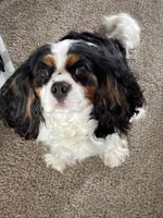 processed/cfefc846-59a5-4bd8-bbf8-c427b11bc15d/facility/bd9a3f37-b6f2-4f00-857e-7dc9326ace00