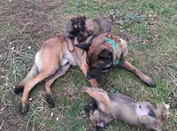 processed/cff17cc2-2cac-4f6c-833c-26b047ec4895/listing/37aab2cb-8dc4-4540-86fc-02fc7bcaf12c/21c90923-37c5-4aed-9f75-b9b534df7bab