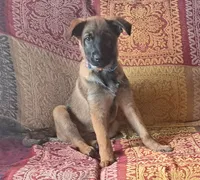 processed/cff17cc2-2cac-4f6c-833c-26b047ec4895/listing/37aab2cb-8dc4-4540-86fc-02fc7bcaf12c/473fc58e-777d-4b5b-b2af-9115140e439b