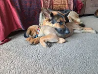 processed/cff17cc2-2cac-4f6c-833c-26b047ec4895/listing/37aab2cb-8dc4-4540-86fc-02fc7bcaf12c/c5d24d44-7286-4727-8265-73b67763f92b