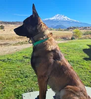 processed/cff17cc2-2cac-4f6c-833c-26b047ec4895/listing/37aab2cb-8dc4-4540-86fc-02fc7bcaf12c/e51ab045-9e60-4f03-aa25-5042ad5e7a37